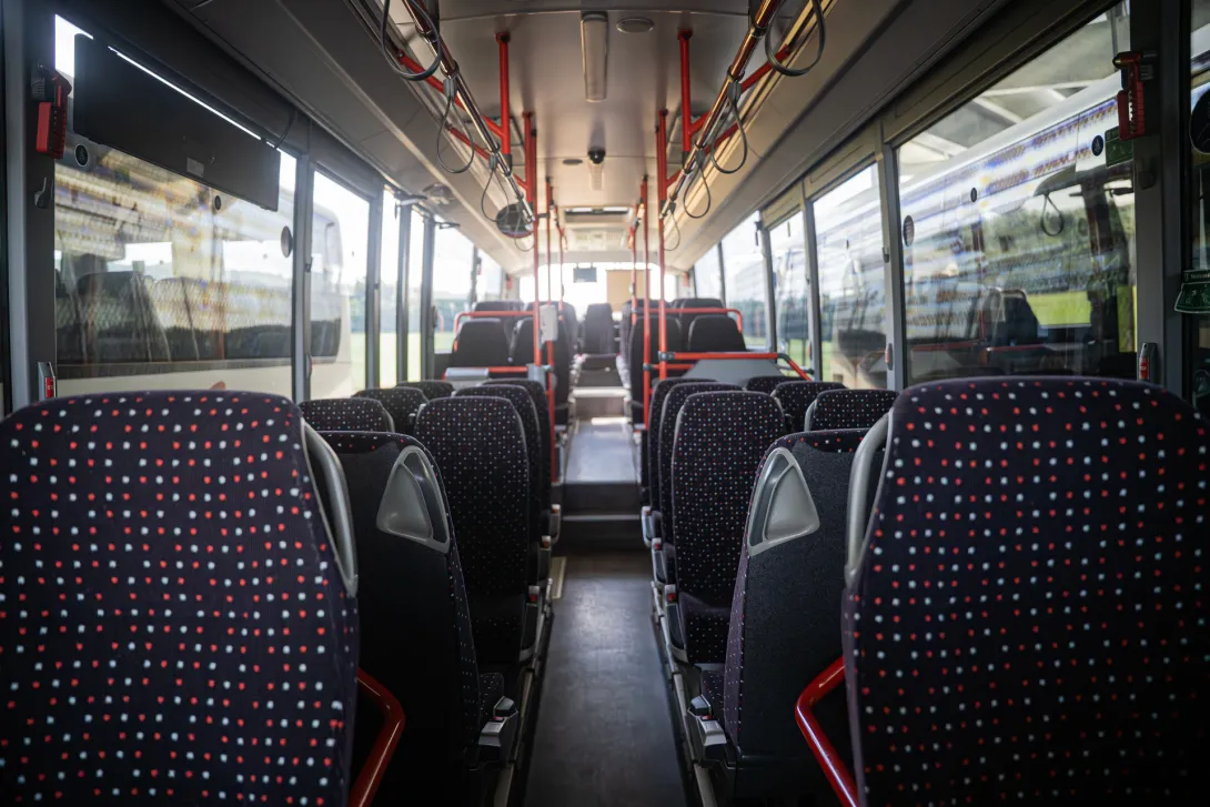 Standart und Linienbusse
